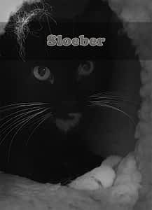 Sloeber Sloeber