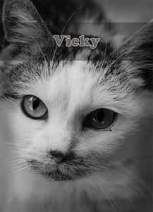 Vicky Vicky