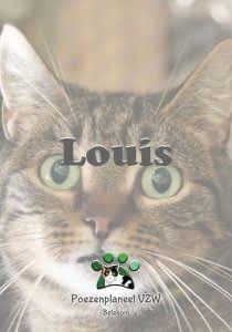 louis louis