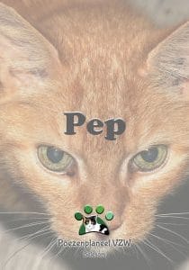 pep pep