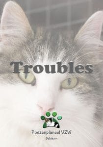 troubles