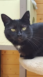 Moeke <h3>Moeke<h3\>