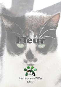 Fleur Fleur