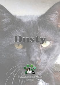 dusty dusty