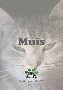 muis muis
